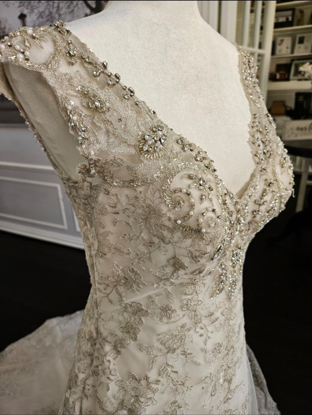 Maggie Sottero Ivory Lace A-Line Wedding Dress - Picture 9 of 11